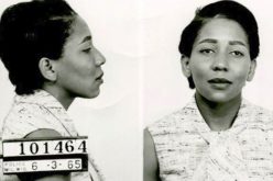 Lifelong jewelry thief arrested; to be played by Halle Berry in upcoming film