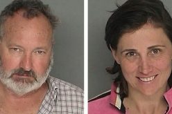 Quaids trade perp walk for star walk