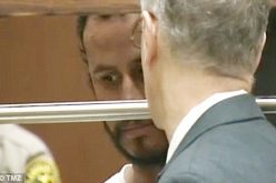 Halle Berry stalker’s efforts may rival those of Paris Hilton’s