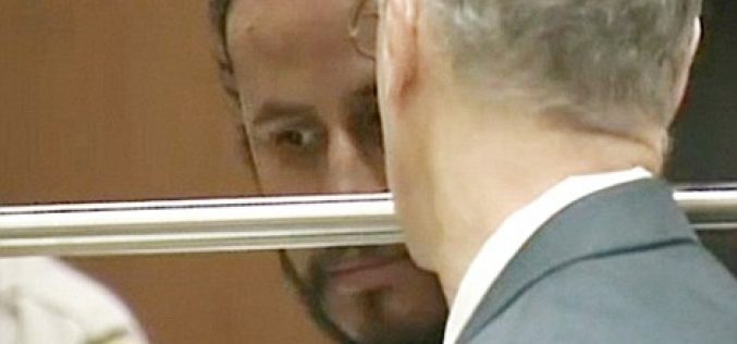 Halle Berry stalker’s efforts may rival those of Paris Hilton’s