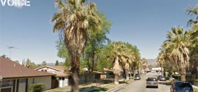 Shots Fired Tuesday Morning, Police Arrest Shooter That Night