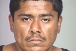 Car Thief Escapes, Cohorts in Custody