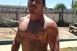 Watsonville Police Arrest Parolee for Robbery