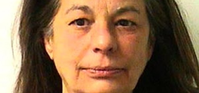 California – Florida connection leads to marijuana arrests