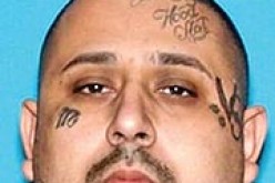 Two arrested for human trafficking