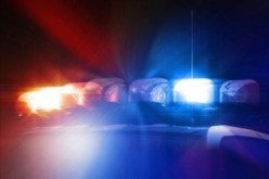 Transient arrested after vehicle pursuit in Santa Rosa