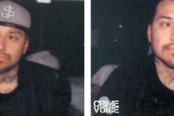 Auto theft suspect arrested for second vehicle theft