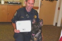 K-9 Officer Captures Robbery Suspect