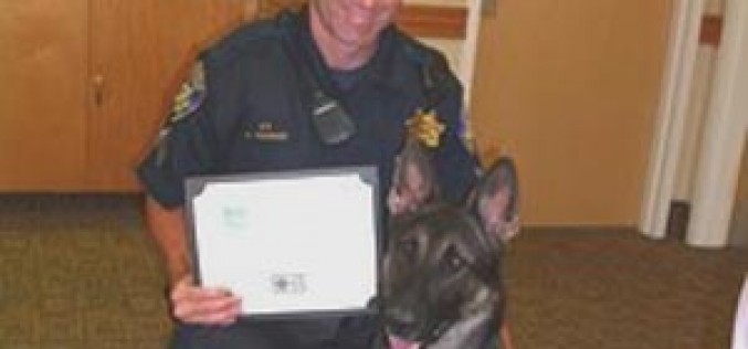 K-9 Officer Captures Robbery Suspect