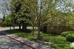 Commercial burglar tries to get away