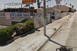 A Walk on The Wild Sidewalk