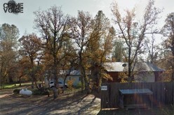 Tow truck driver and friends arrested