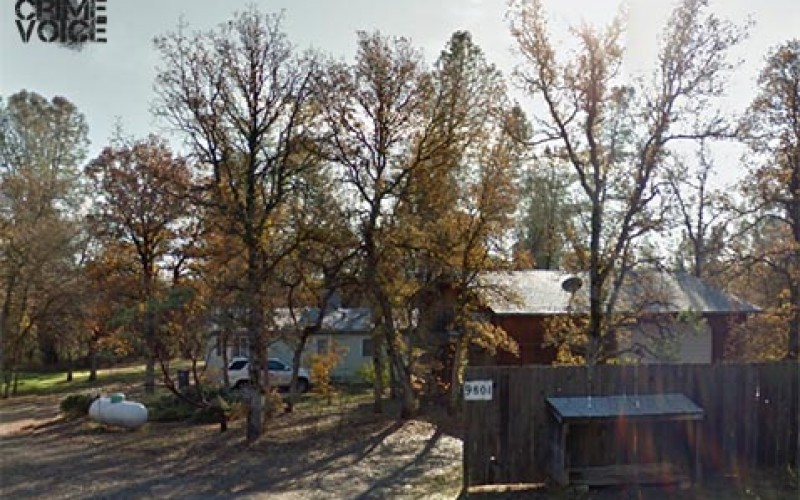 Tow truck driver and friends arrested