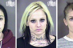 Probation Check nets Six for Fraudulent Checks