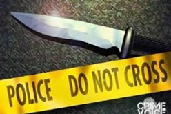 Suspect arrested in Santa Rosa stabbing