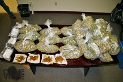 Hash Oil Maker Arrested