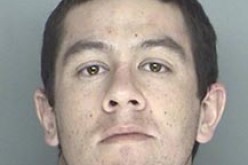 Cops Ask for Public Help and Get It