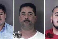 Search Warrants Net Nine Guns in Area Homes