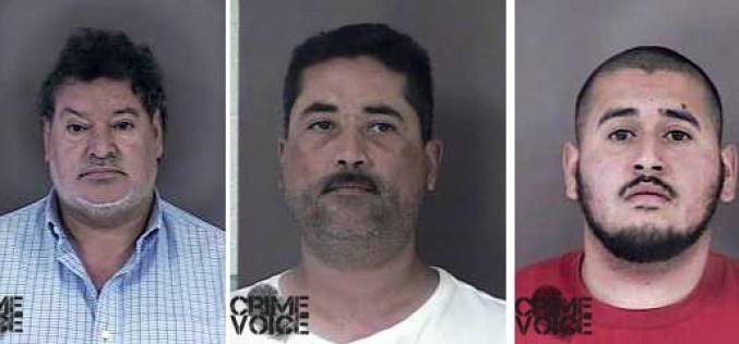 Search Warrants Net Nine Guns in Area Homes