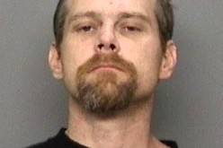 Redding man just into stealing cars