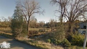 Daniel was caught trying to hide in the trees where the greenback meets Caterpillar Road.