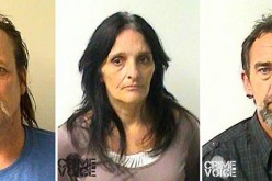 Sheriffs bust meth party in Upper Lake forest