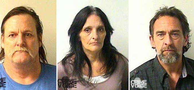 Sheriffs bust meth party in Upper Lake forest