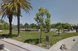 Novato traffic stop leads to teen drug dealer arrest