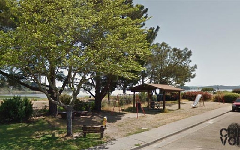 Juvenile arrested in teen shooting at local park