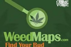 Rialto Discussing Mobile Pot Delivery Service