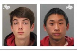 Illegal teenage club house demolished in fire