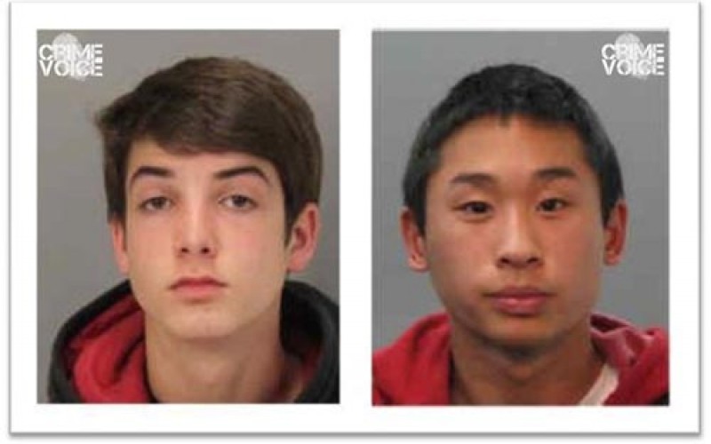 Illegal teenage club house demolished in fire