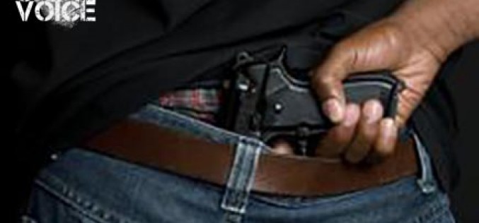 Felon arrested for gun possession and negligent discharge of a firearm-Passenger arrested for warrants and resisting arrest