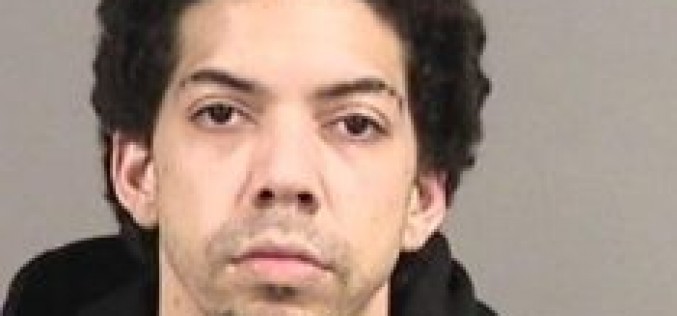 Man Arrested for Allegedly Trying to Sell Puppies Stolen from Livermore on Craigslist