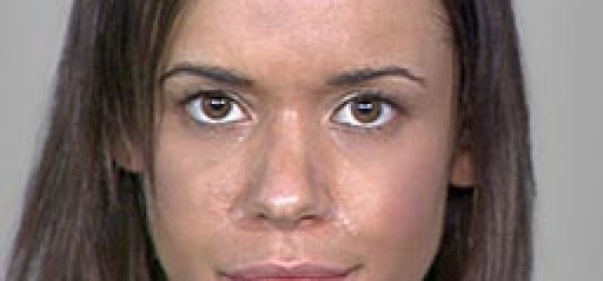 Busy Car Burglars Busted