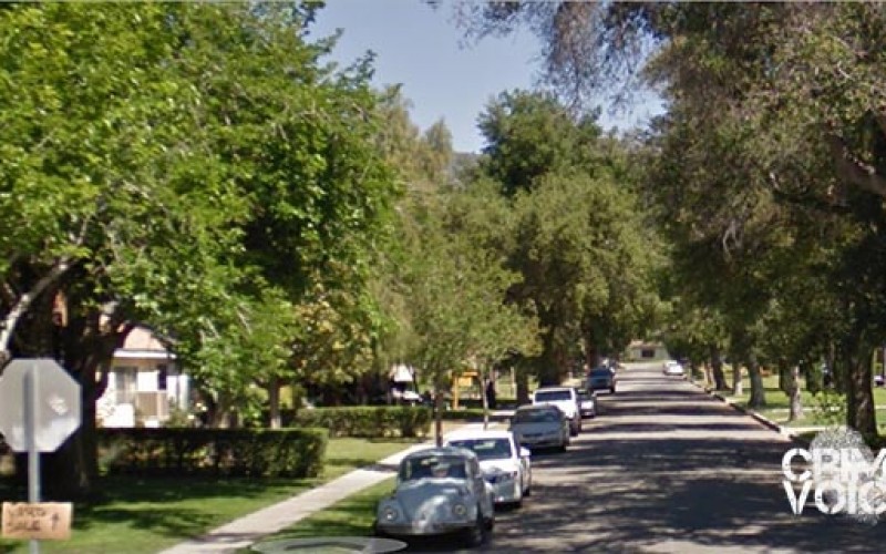 Retired Law Enforcement Officers Shoot Pit Bull