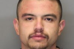 Yolo County Sheriff Arrests Wanted Suspect