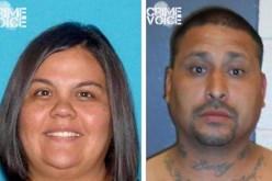 Mom and Dad have a lot of guns…