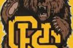 FBI Helped Crack Dublin Teen’s Alleged Bomb Threats to ‘Heleena’