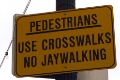 She Came a Long Way to Jaywalk, Baby