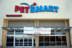 Armed Robber Holds up Petsmart in Seal Beach