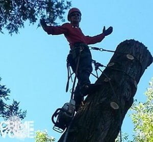 Schumaker works on a tree (Facebook)