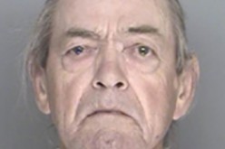 Felon Caught with Guns