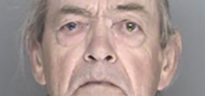 Felon Caught with Guns