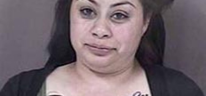 Blown Stop Sign Led to Vehicle Pursuit