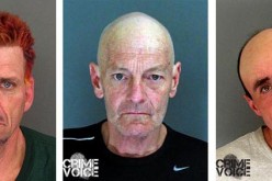 Undercover Operation Nets Three