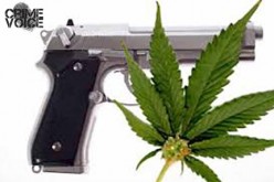 Search Leads to Arrest of Alleged Delano Gang Member