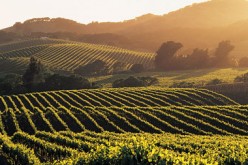 Large team bands together to fight prostitution and sex trafficking