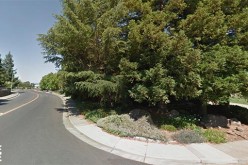 Brazen Dixon Armed Robbers Sought