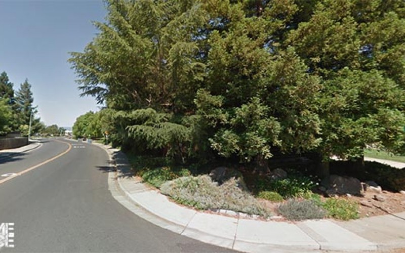 Brazen Dixon Armed Robbers Sought